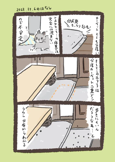 うんこの話ばっかしてんな

#うさぎのいる生活 