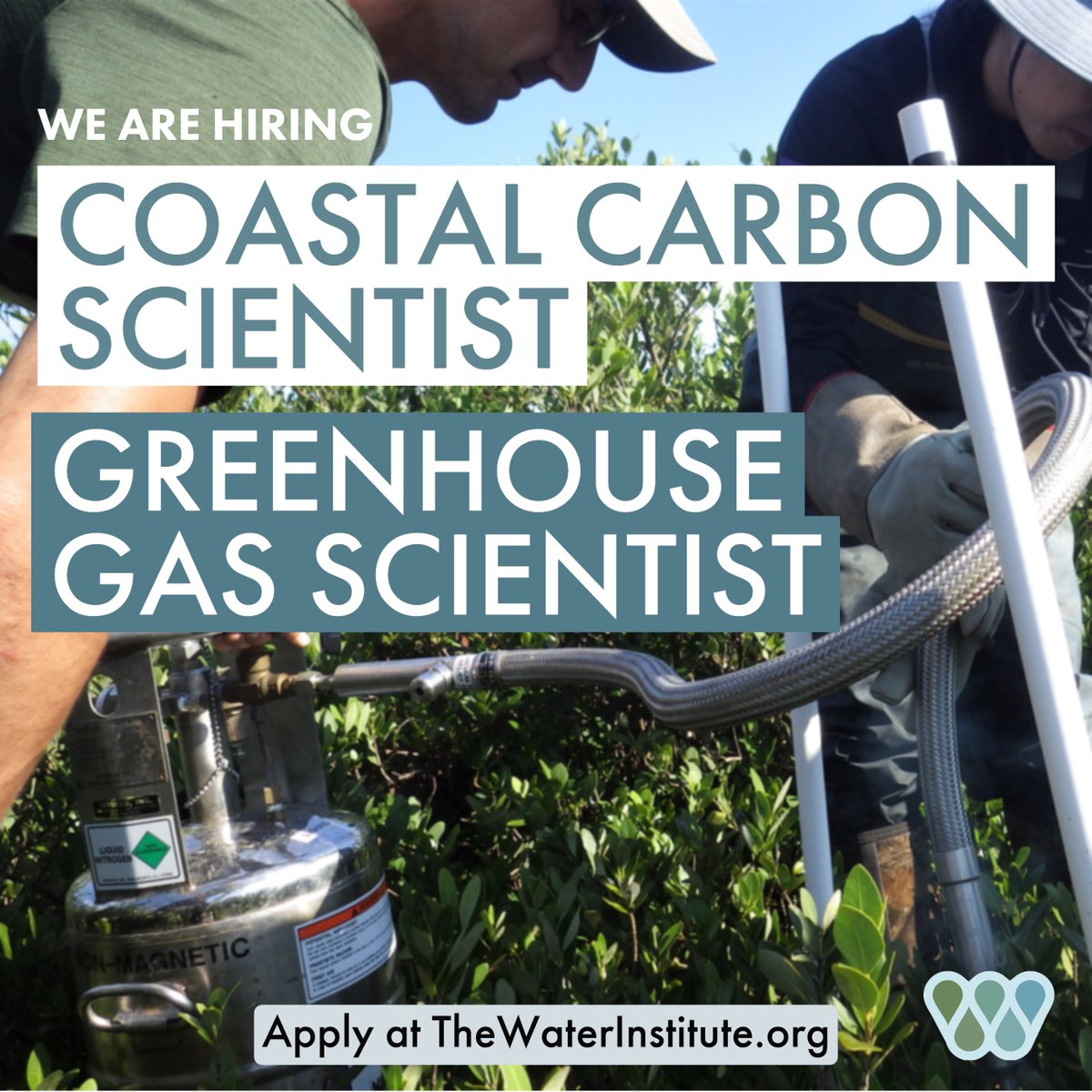 TheH2OInstitute's tweet photo. Good morning #RAESummit22! The Water Institute is looking for TWO people to work on coastal carbon and greenhouse gas research. Learn more about these positions and apply here https://t.co/1IZedS9tTF https://t.co/7rwjuyFaGr