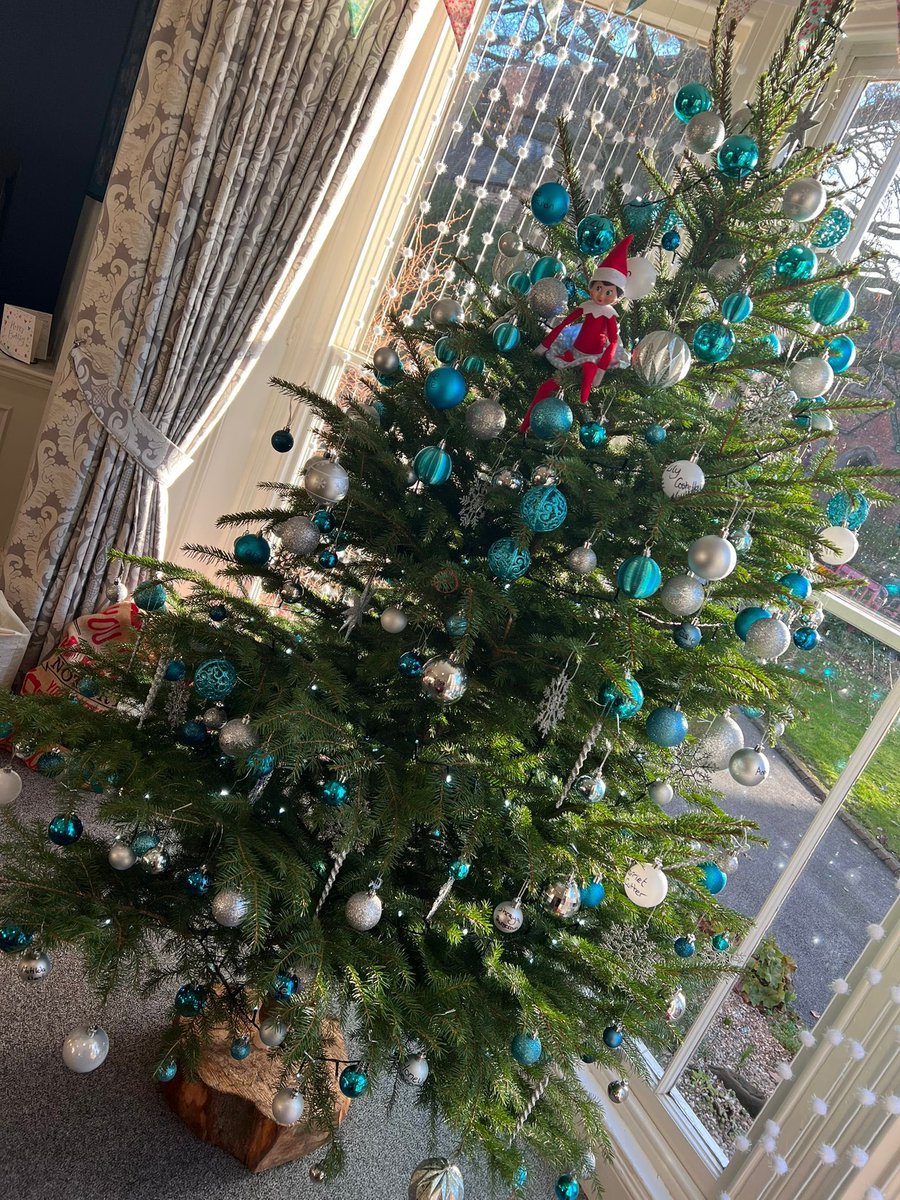 BromsSchool's tweet photo. Hazeldene’s elf has taken a liking to the Christmas tree and the Advent Calendar chocolates. #BromsHazeldene #BromsHouses #SocialWonderland #SocialAdvent #ChristmasAtBromsgrove https://t.co/8wcuoKwMCT