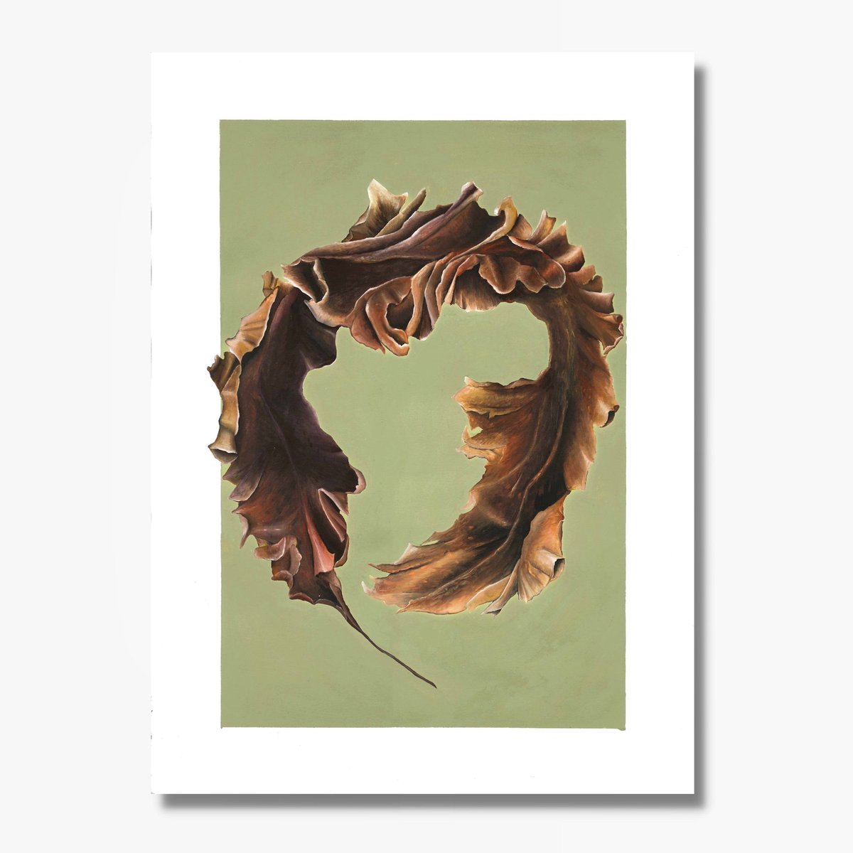 A very limited batch of sugar kelp prints will be available from the studio this Thursday! 
All 3 original seaweed paintings will be displayed together during this weeks pop up in @butchersbuilding.
Thursday 4 - 8 🎄
Friday 10 -2 🎄
Saturday 12 -5 🎄
Hope you can make it!