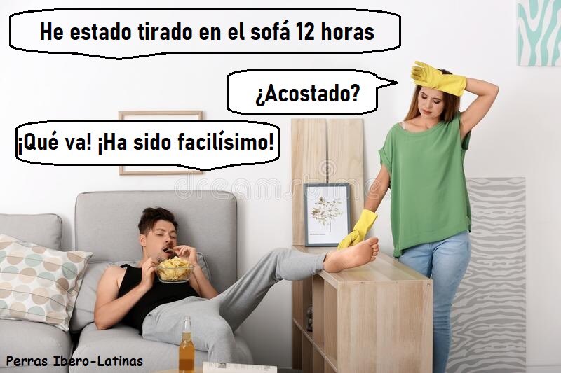 PerrasIberoLati's tweet photo. #ol #chistetipico #momos #chistes #memesespa #memes #momazos #re #gracioso #k #humor #bromas #chiste #momaso #hp #risas #horneados #memeslatinos #humorespa #cmamut #momoscorp #memazo #vrutal #memesmundial #bromaspesadas #humornegro #risa #chistesmalos #memesgraciosos #meme https://t.co/uABWAayhlX