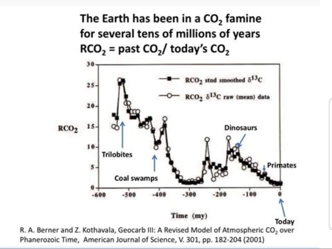 Katje00325674's tweet photo. @ECOWARRIORSS Let us put CO2 in perspective. CO2 is currently at the low end of the scale in t he context of the earth's history. #ClimateScam https://t.co/k7PYJMr1gS