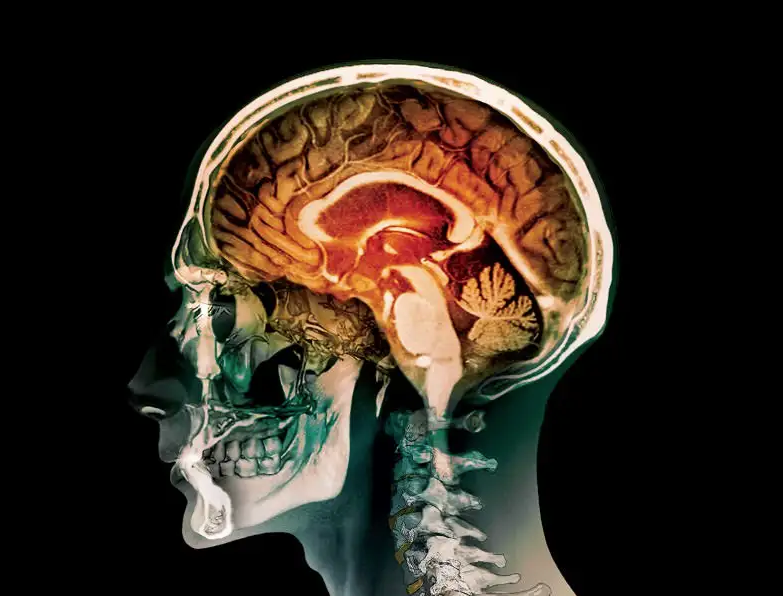 Pleasure vs Happiness (Dopamine vs Setatonin)
youtube.com/watch?v=A3svaO…