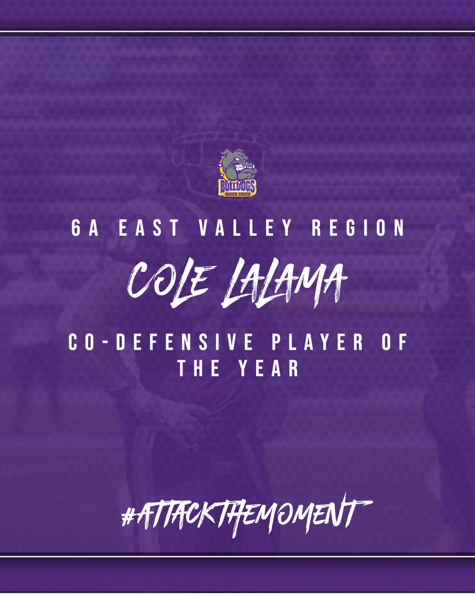 QCHS_Athletics's tweet photo. Congrats to our 6A East Valley Region Co-Defensive Players of the Year, Cole Lalama and Porter Reynolds! 

#qcusd #qcleads @QC_football @LalamaCole @PReynoldsqc @QCUSD_Athletics https://t.co/1Wxq2XnykD