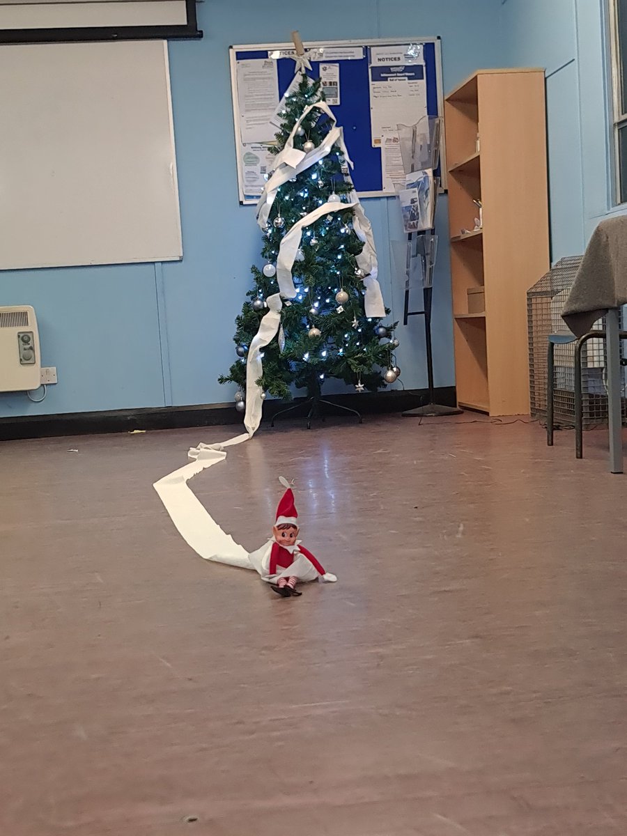 Day 5) Cadet Elf-Mantoura saw the Christmas tree looking bare. He needed to add to it then and there! Whilst everyone was busy with activities and the Junior Ranks Mess was free, Elf saw the chance to toilet paper the Christmas tree!