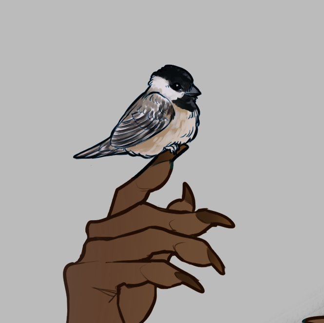 bird animal focus simple background grey background animal 1other pov hands  illustration images