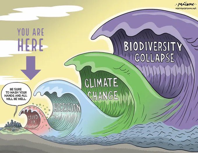 SenRosaGalvez's tweet photo. Always worth having the whole perspective. #cop15 here we come. https://t.co/qg2jO5HvFd
