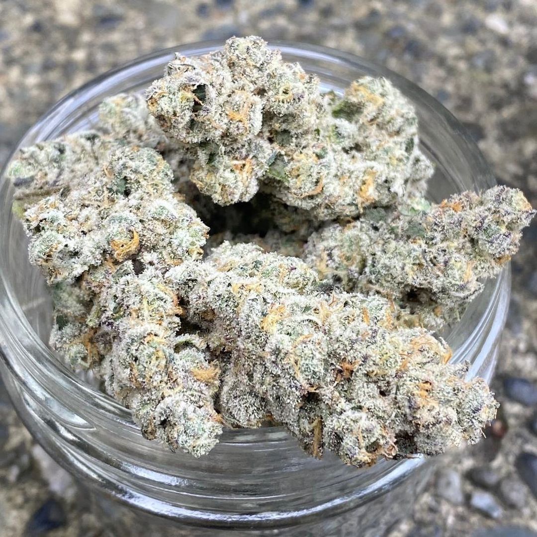 SolfireGardens's tweet photo. who would you moke this Papa Don with ? tag them below!!!
#Solfire #SolfireGardens #WestCoast #DonMega #Tuesday https://t.co/dRXuelg4RO