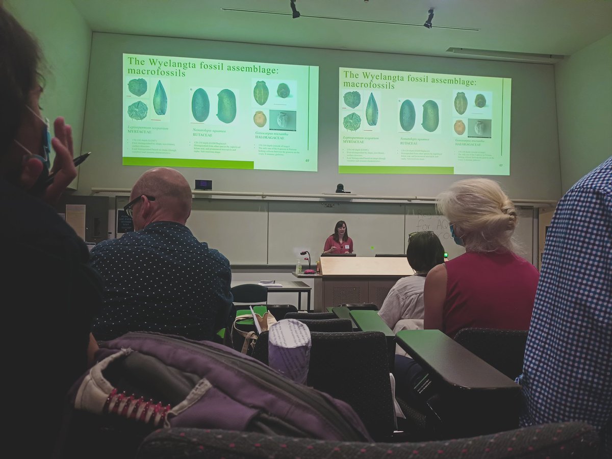 Chloe Stringer tweet media