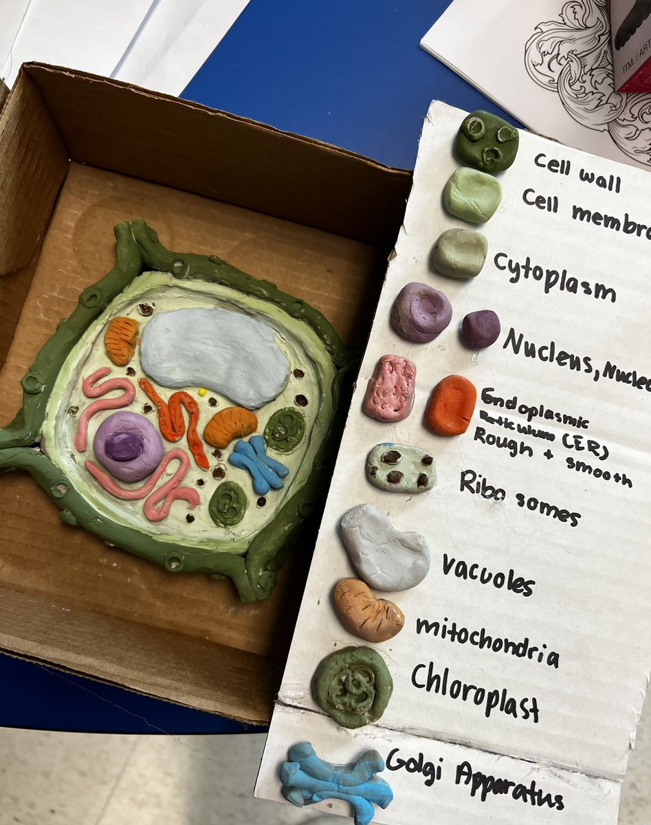 Colin_Hillock tweet media