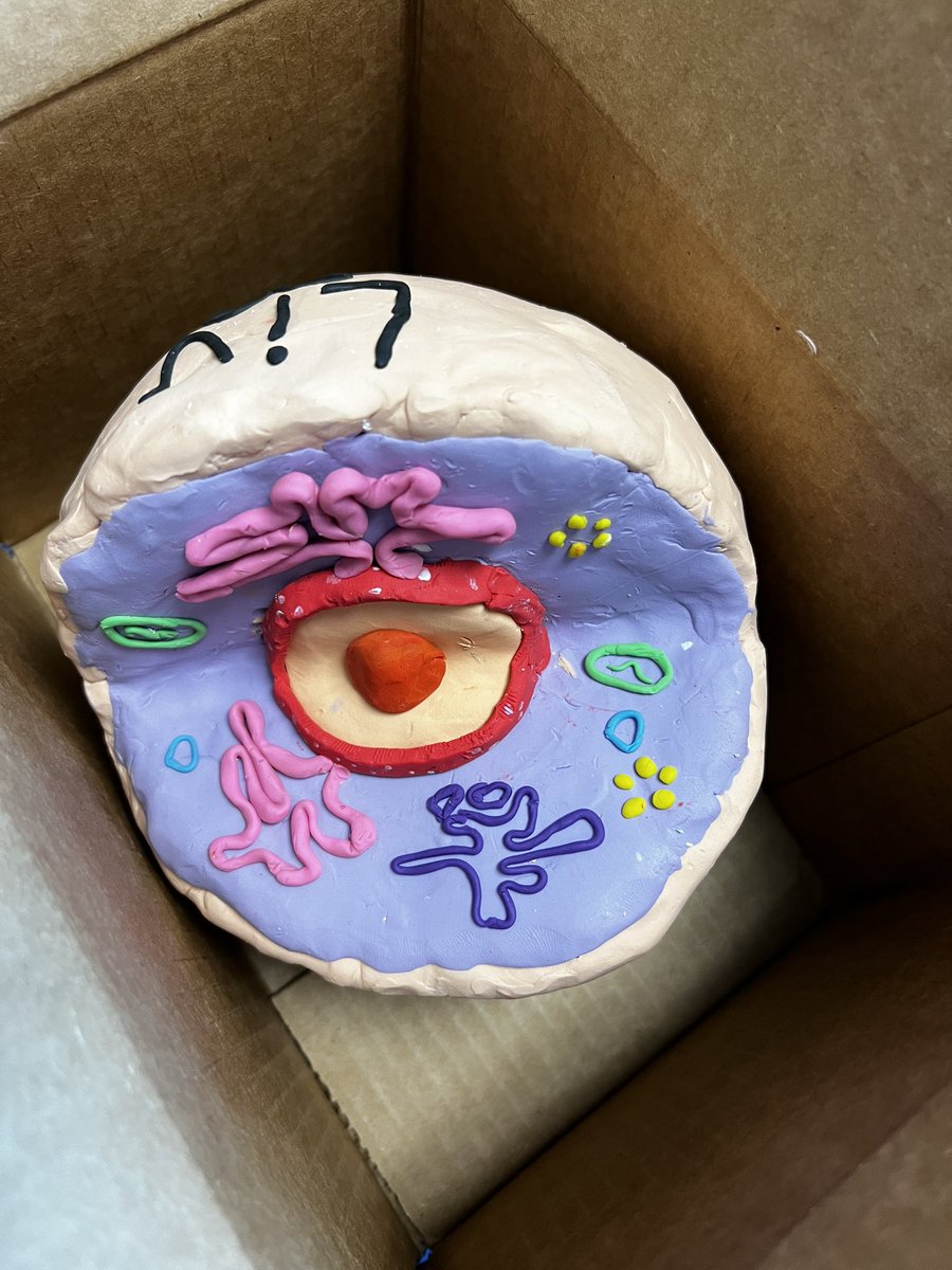 Colin_Hillock tweet media