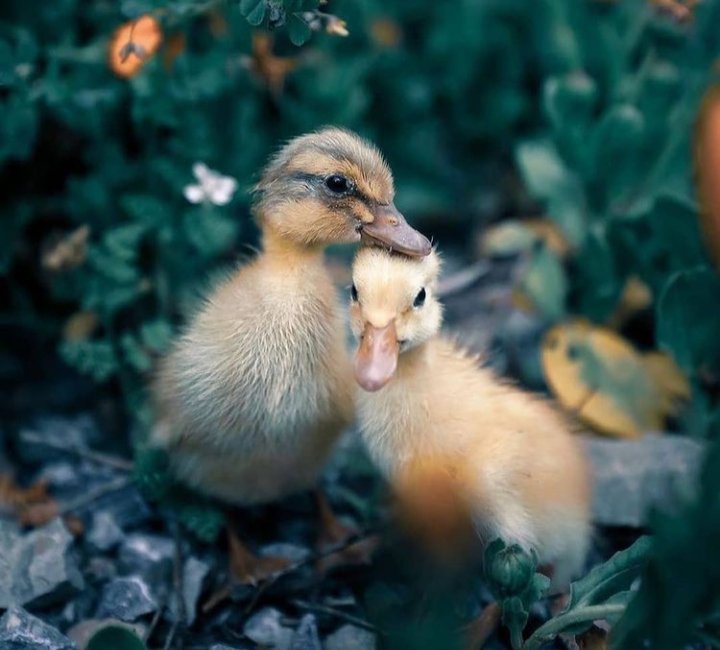 "Her zaman değerinin olduğu yerde kal."