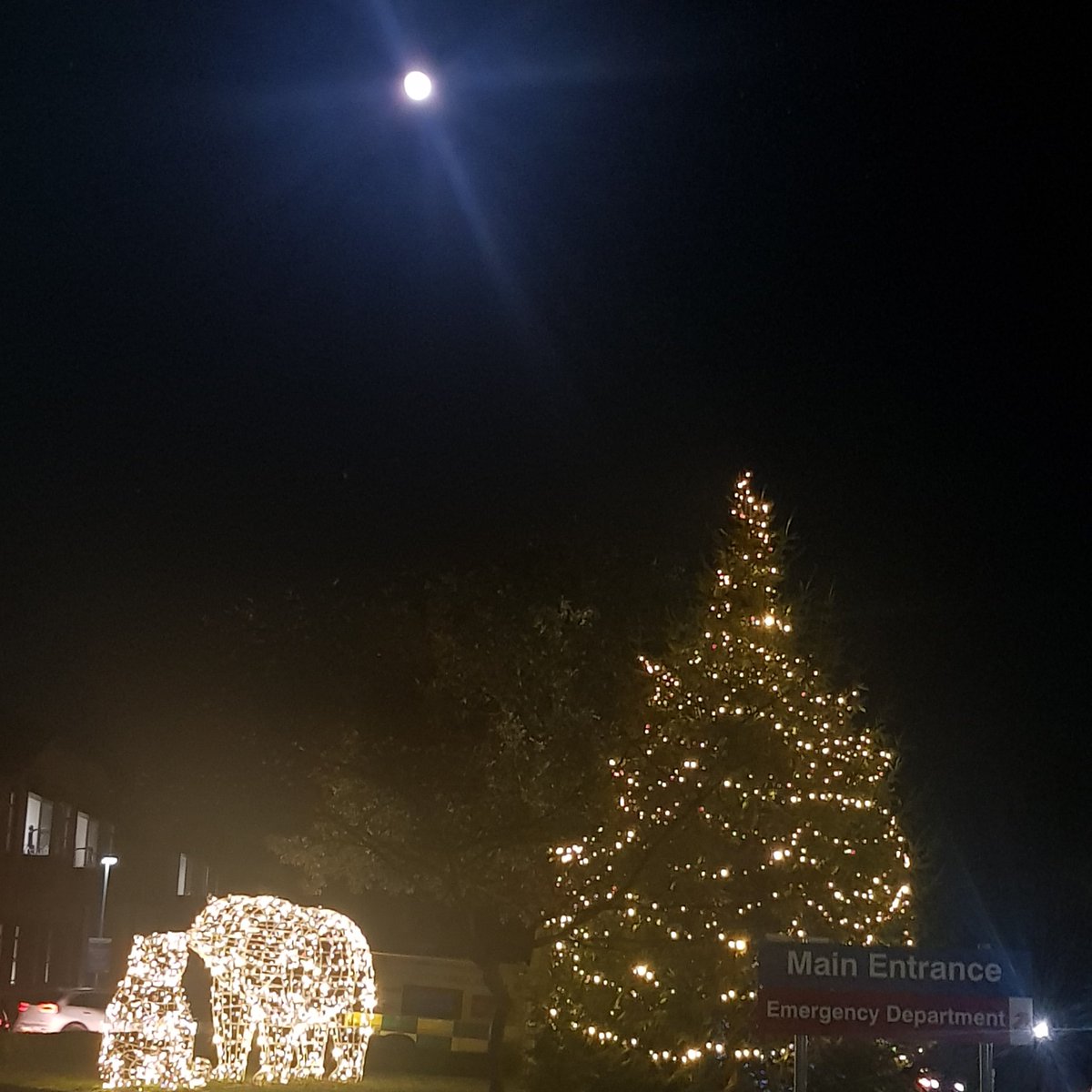steph_hunter_12's tweet photo. Loving the polar bears and tree @RoyalDevonNHS  ⛄ https://t.co/vCI5oCQamV