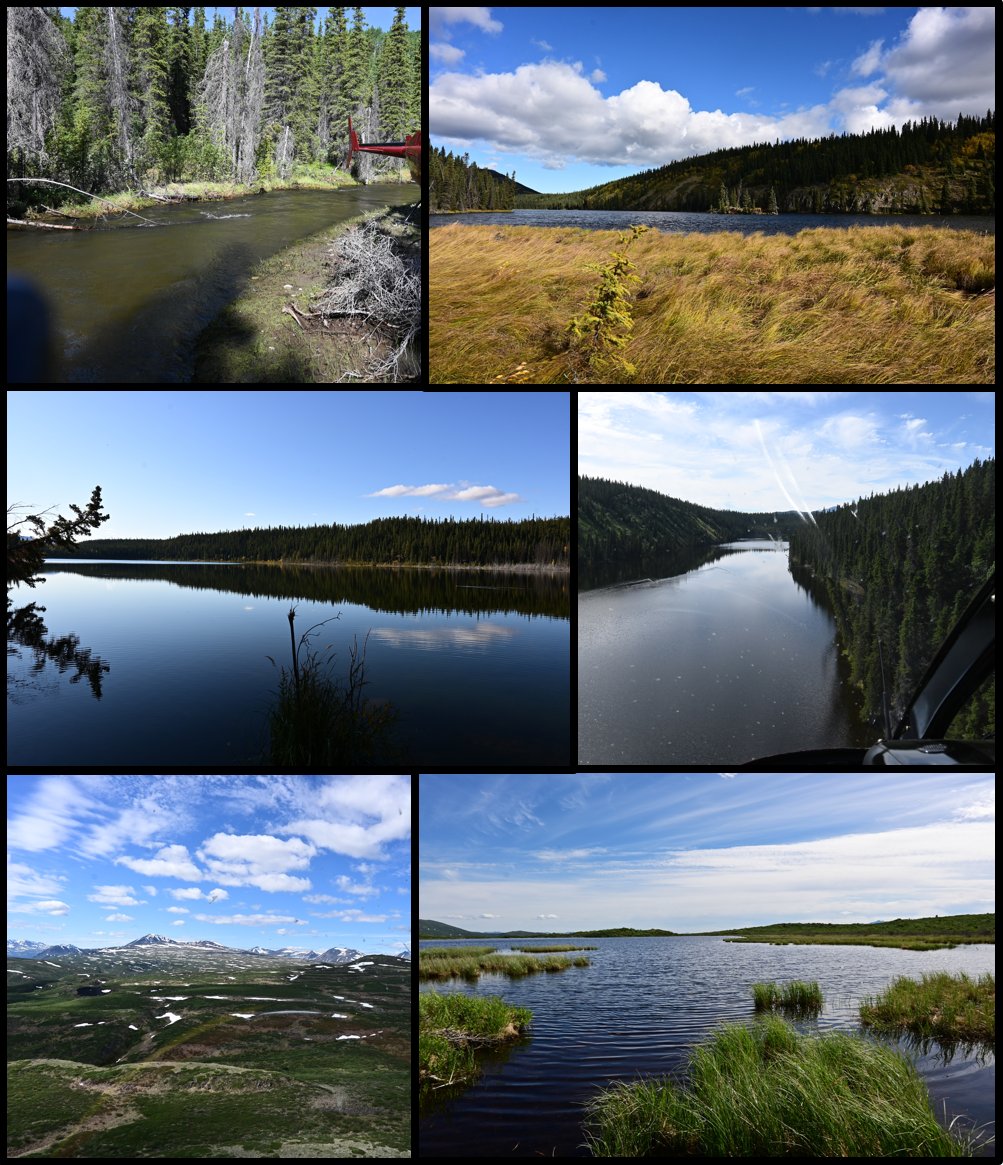Attending <a href="/ArcticNet/">ArcticNet</a> #ASM2022? Check out @ak__grewal's talk on how seasonality and catchment characteristics drive spatial hydrologic connectivity and solute export in #wolfcreekresearchbasin Thurs Dec 8th at 13:50!