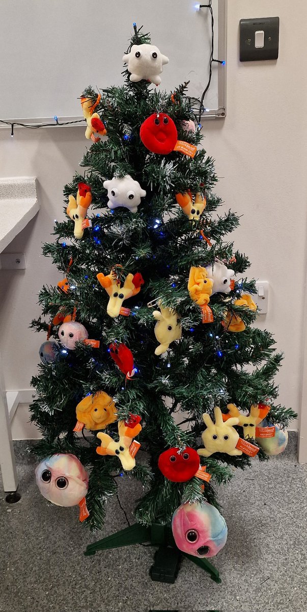Promyelocyte13's tweet photo. My #christmastree is up in my office! Merry Christmas everyone #giantmicrobes #whitecells #redcells #platelets #plasma #stemcells #antibody #morphology #haematology https://t.co/BbY1WY0g7s