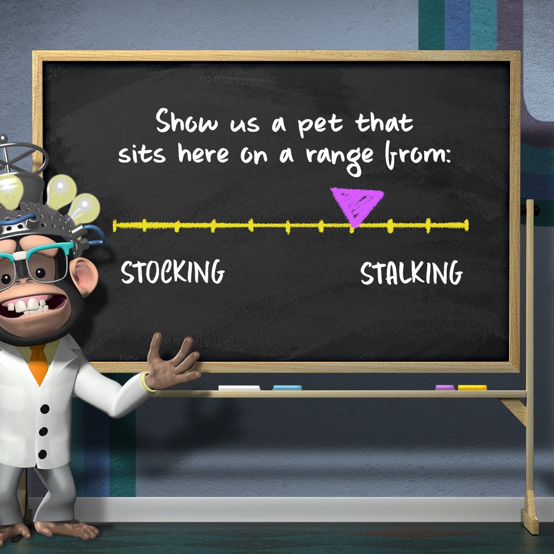 Jackbox Games Party Pack 9 OUT NOW on Twitter "Let’s increase the difficulty! Next, Nanners