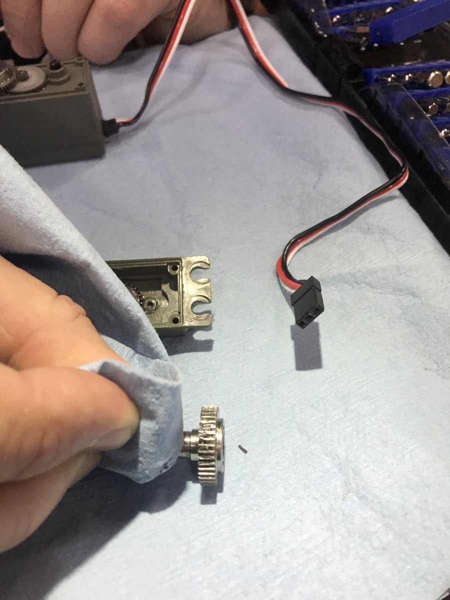 Project Peacock tweet media