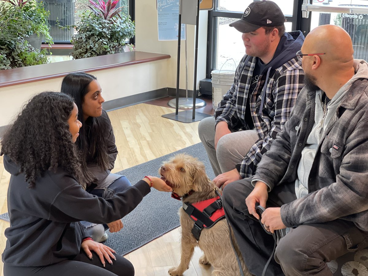 WaubonseeLife's tweet photo. Student Life wants to give a round of "a-paws" to Chester, the therapy dog, for visiting with our students yesterday! It was a great opportunity for our students to "unleash" finals stress. 🐶🐾 https://t.co/PXz34SuBSa
