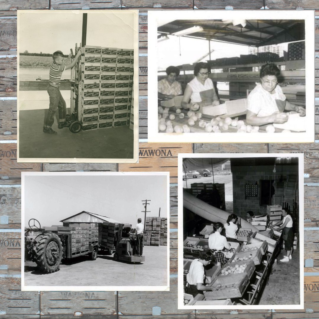 Wawona Frozen Foods tweet media