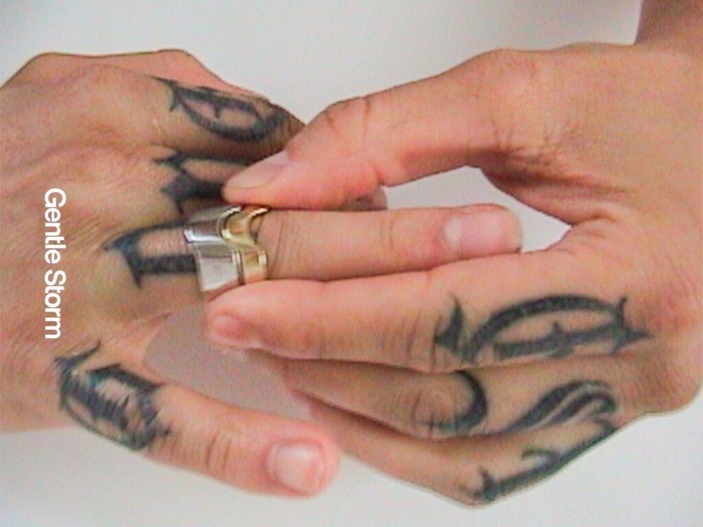 GENTLE STORM tweet media