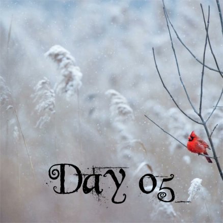 SoTL Network (@uofgsotl) on Twitter photo Today for Day 5 of "12 Days of #SoTL" we have @JuliaBohlmann on #DecolonisingTheCurriculum and <a href="/NSvanGE/">StillIRise</a> on #WideningParticipation - we would love to hear your insights into this too #SoTLAdvent uofgsotl.blog/sotl-advent-ca… Today for Day 5 of "12 Days of #SoTL" we have @JuliaBohlmann on #DecolonisingTheCurriculum and <a href="/NSvanGE/">StillIRise</a> on #WideningParticipation - we would love to hear your insights into this too #SoTLAdvent uofgsotl.blog/sotl-advent-ca…