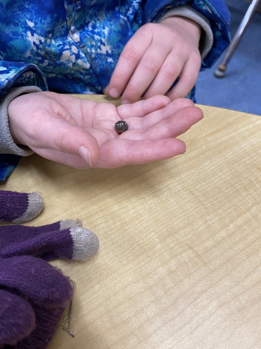 Ms.Robillard tweet media