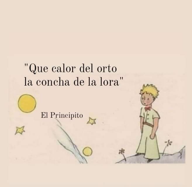 Diego Vera (@dieggovera) on Twitter photo 