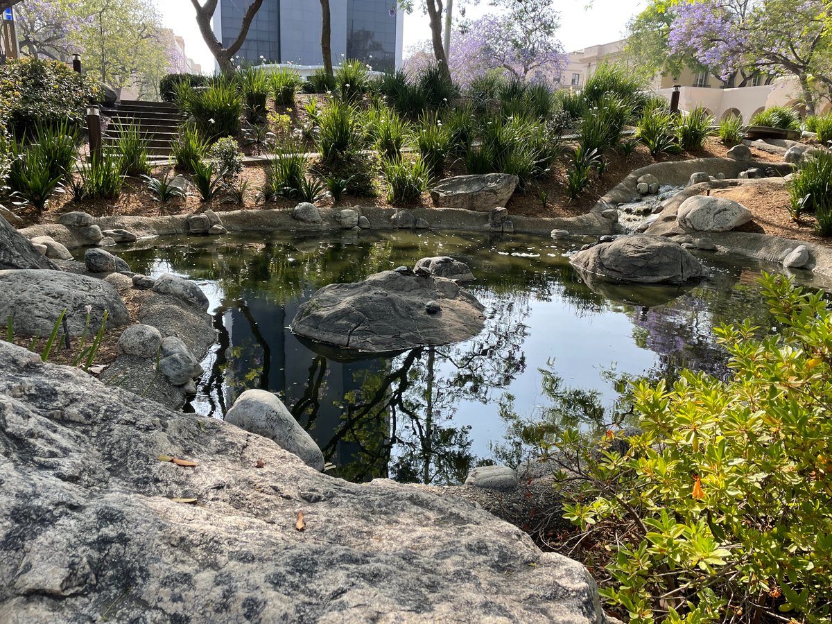 Caltech_Turtles tweet picture