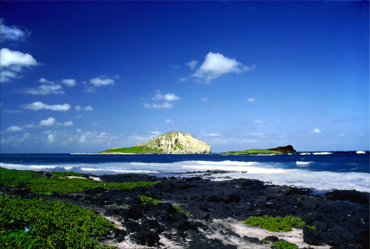 BarronBeauxArts's tweet image. "Somewhere" 

I was driving around O'ahu. I was stopping every few minutes to admire the vistas and shoot photos. This is on the west shore.

Photo scanned from an Kodachrome transparency.

#ArtistOnTwitter #artistsontwitter #photography #photos #PhotoOfTheDay #roadtripdiary