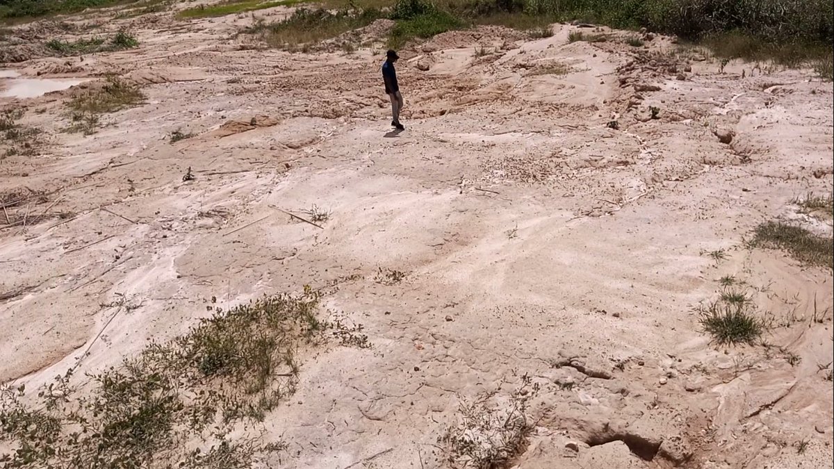 MovementforSus1's tweet photo. sand winning destroys the soil profile, damages soil surface configuration and changes topography of the land.
This is a great threat to #SDG1 #SDG2 #SDG6 #SDG1415 
#StopSandWinning 
#Offinso 
@Sdg13Un @gyemgh @vanessa_vash @Nikkisamonas https://t.co/bEPVxplDyn