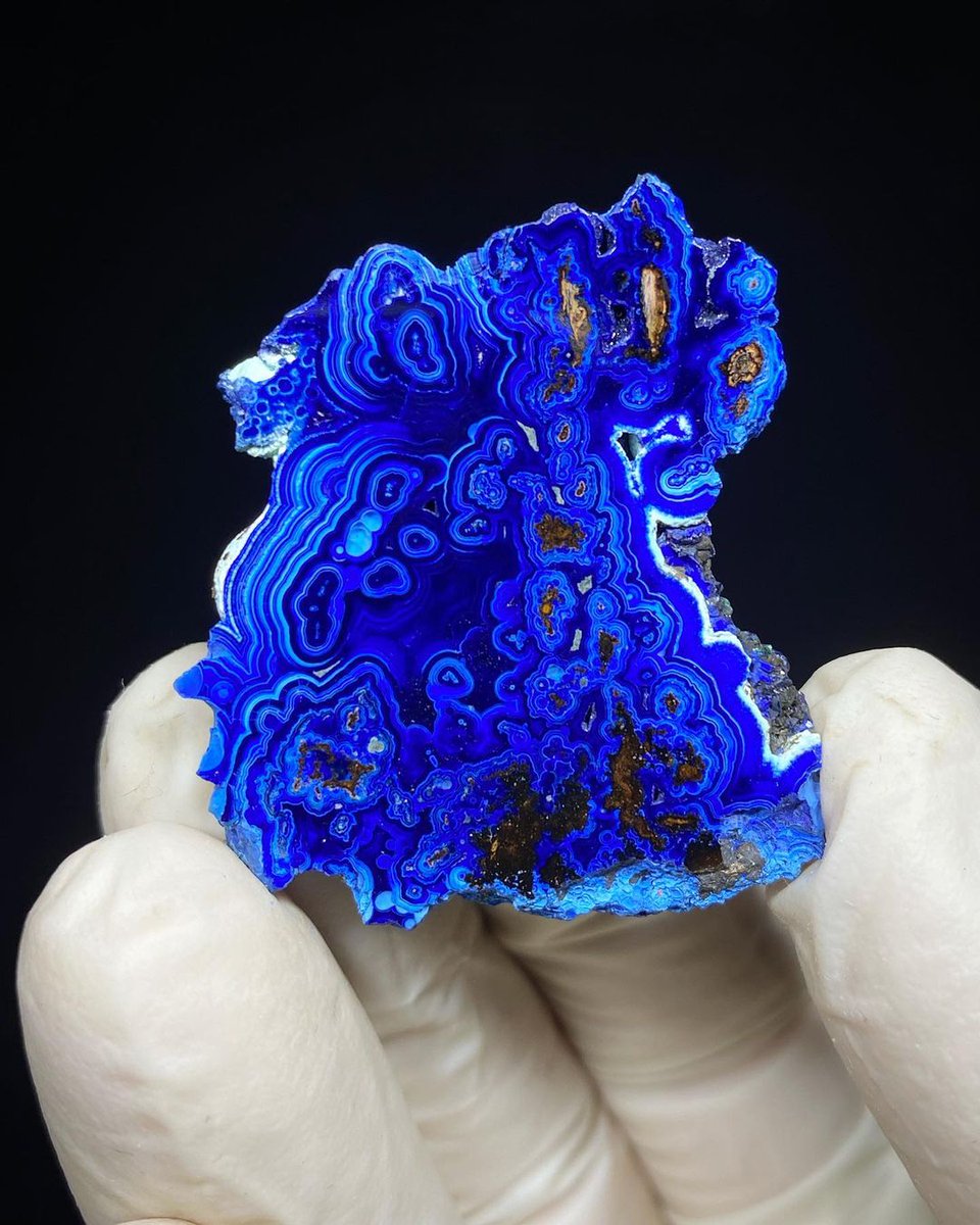 GeologyTime's tweet photo. Delightful azurite slab from Kamenushinskoe copper mine, Russia. 

Photo: Magnificent__Minerals/IG

#minerals #crystals https://t.co/KH9iHLpUST
