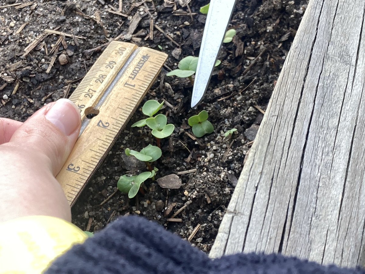 STM Env Science tweet media