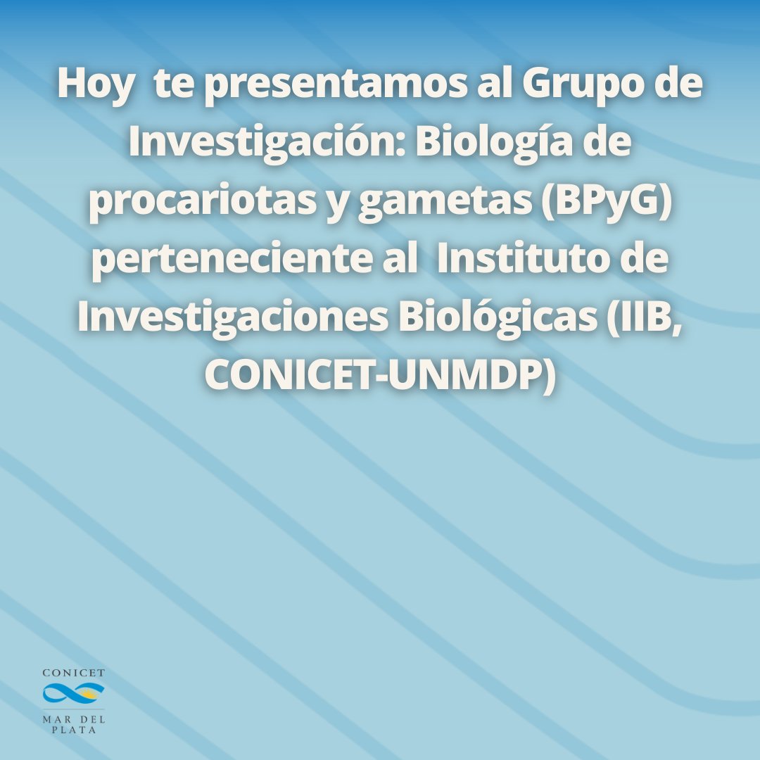 Conicetmdp's tweet photo. 📣 Llegó una nueva entrega de “Somos Comunidad Científica”

✅ Hoy es el turno del grupo de investigación al grupo de investigación “Biología de procariotas y gametas” (BPyG) perteneciente al @IibConicetUnmdp https://t.co/fj1jpGHTZ6