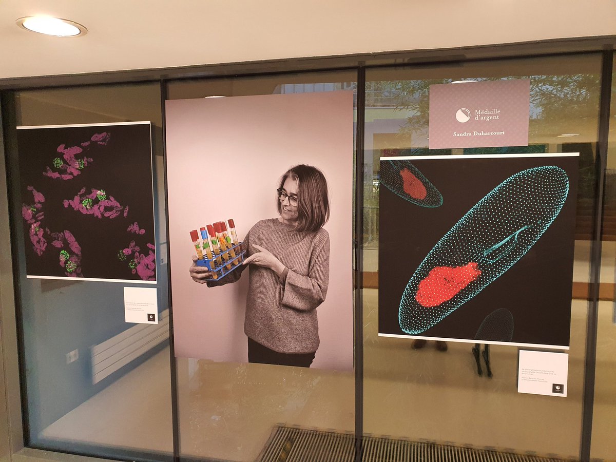 Institut Jacques Monod (@ijmonod) on Twitter photo 👏 Our warmest congratulations to Sandra <a href="/DuharcourtLab/">DuharcourtLab</a>, group leader at the <a href="/IJMonod/">Institut Jacques Monod</a>, who receives the <a href="/CNRS/">CNRS 🌍</a> silver medal this evening
<a href="/CNRS_Villejuif/">CNRS Île-de-France Villejuif</a> @INSB_CNRS <a href="/univ_paris_cite/">Université Paris Cité</a> 👏 Our warmest congratulations to Sandra <a href="/DuharcourtLab/">DuharcourtLab</a>, group leader at the <a href="/IJMonod/">Institut Jacques Monod</a>, who receives the <a href="/CNRS/">CNRS 🌍</a> silver medal this evening
<a href="/CNRS_Villejuif/">CNRS Île-de-France Villejuif</a> @INSB_CNRS <a href="/univ_paris_cite/">Université Paris Cité</a>