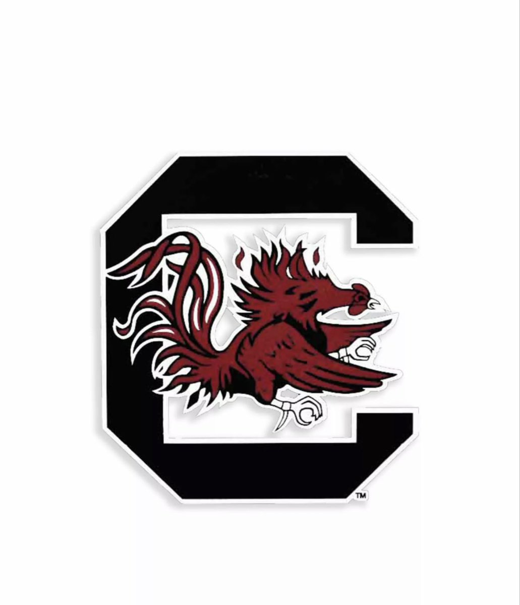 who_CD5's tweet photo. Very blessed to receive an offer from the University of South Carolina!!#Gamecocks @PalmettoFBall @CoachDaveMarino @togray14 @RI5E_Sports https://t.co/gyNHiZ2oRw