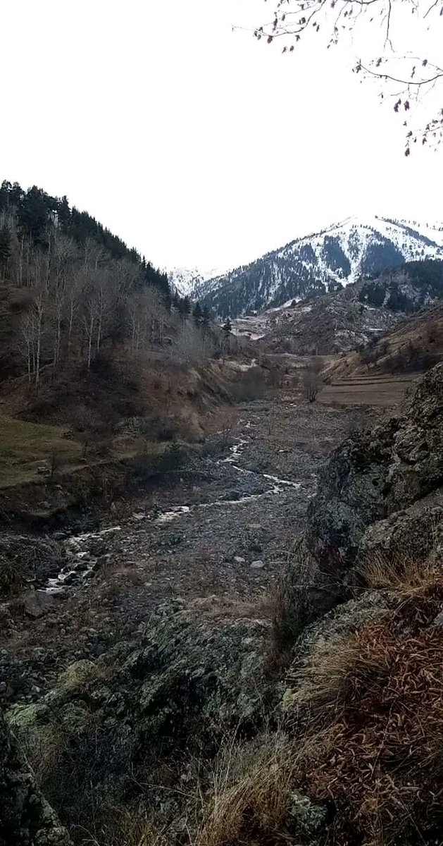 Bundan sonra ben tek,kalabalıklar sizin