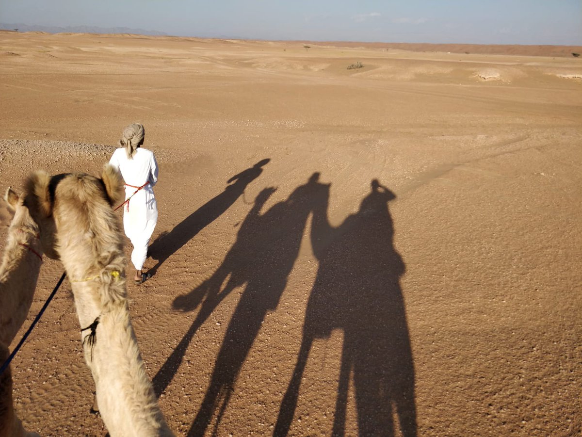 World Extreme Medicine Conference tweet media