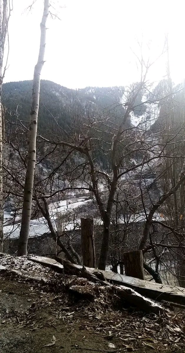 Yeni yaşam yanlızlık ve huzur