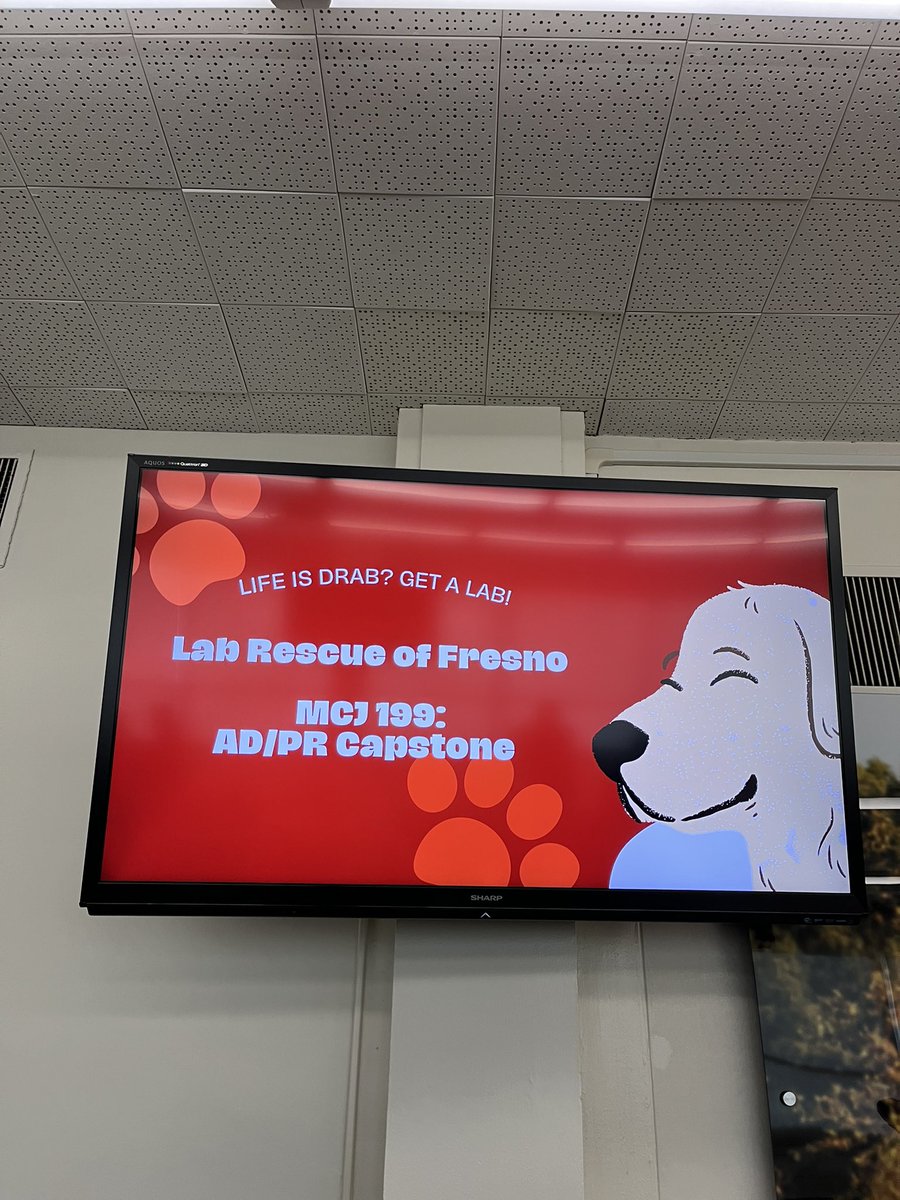 BetsyHays's tweet image. It’s service-learning client presentation day! #ADPRDogs 🎉☀️🤩