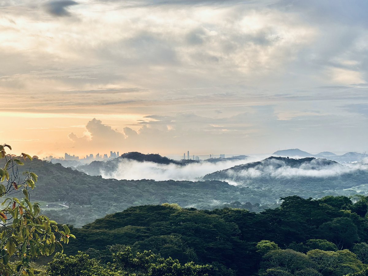 matttrevillion1's tweet photo. What a beautiful country Panama is #panama #Panama #canopytower #canopyfamily #travel #TravelTuesday #travelphotography #Traveller #landscape #landscape_capture #NaturePhotography #nature #NatureBeauty #naturelovers #nature撮影会 https://t.co/1udb20hrGE