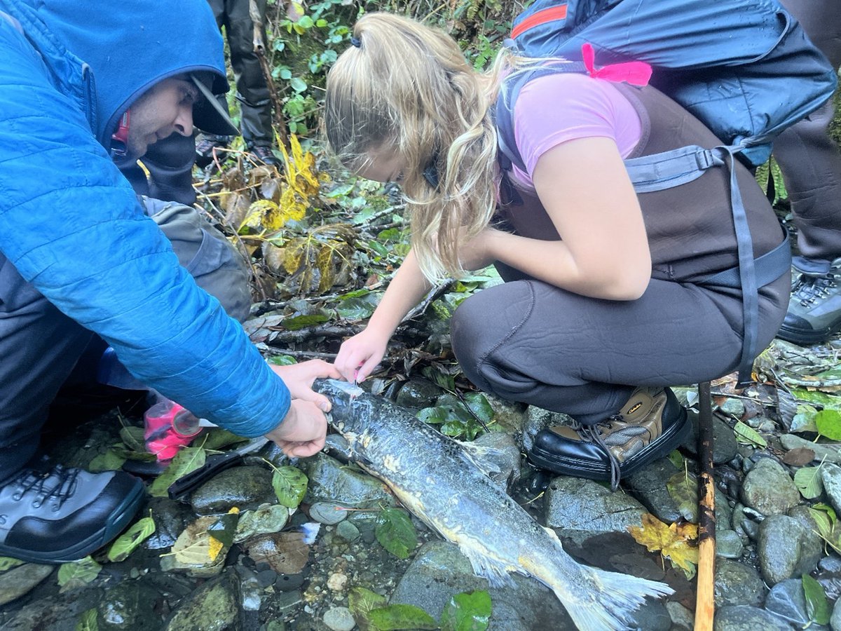 Six Rivers NF tweet media