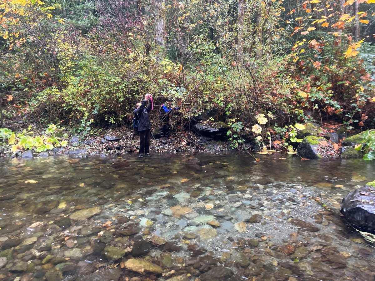This year 20 kids from Orleans Elem. participated in Chinook salmon surveys. Over the fall season, students walked 12 stream miles to count, measure, sample, and fill out data sheets. Thank you to all organizations involved.
#WildlifeConservation #Salmon #Nature
