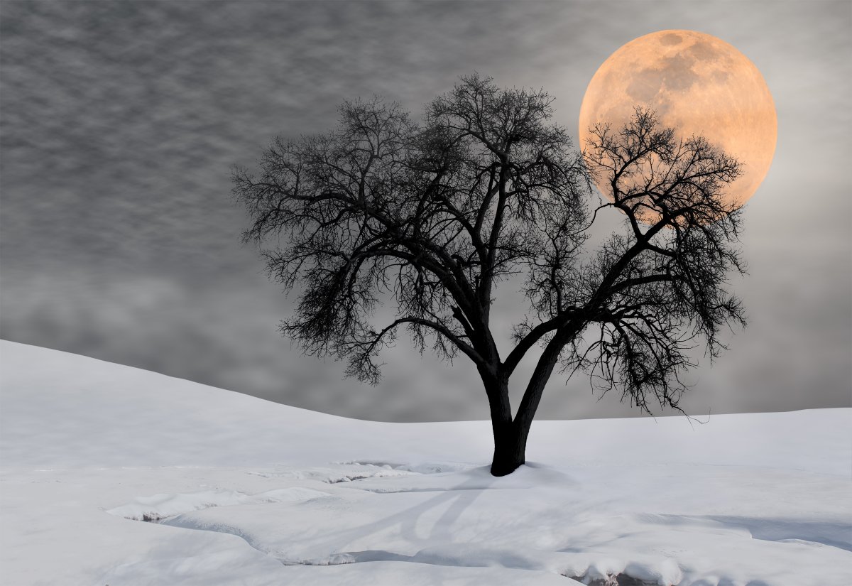 Peter Lik tweet media