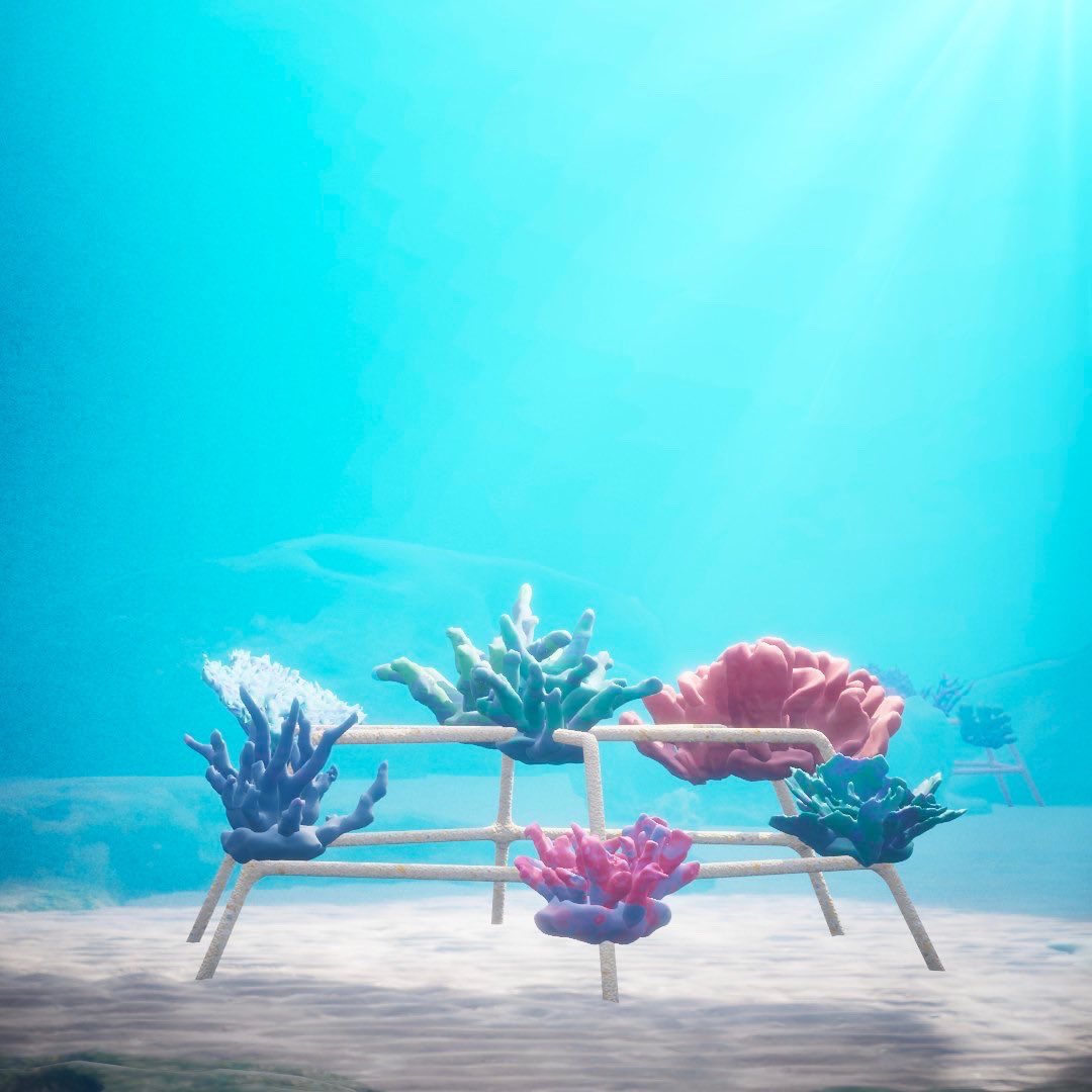 shebahopegrows's tweet photo. We’re blown away by your support so far and we’re loving seeing all of your virtual reefs 💙 Here��s some our community got their hands on yesterday. Can you spot any rare corals? https://t.co/5dF4ul5xxq