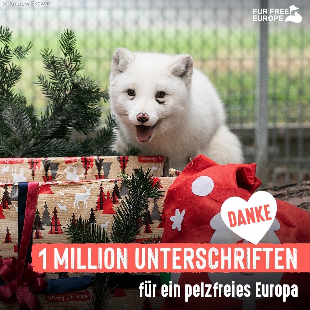 tierschutz_bund's tweet photo. 🥳 DANKE! Gemeinsam haben wir für die Europäische Bürgerinitiative #FurFreeEurope 1 Mio. Stimmen gesammelt. 

✍️ Damit die EU-Kommission aktiv werden muss, brauchen wir 1 Mio. "gültige" Stimmen, also einen Puffer. Daher bitte weiter teilen, unterschreiben: https://t.co/c8xh8L9VAz https://t.co/wfuGHf1C82