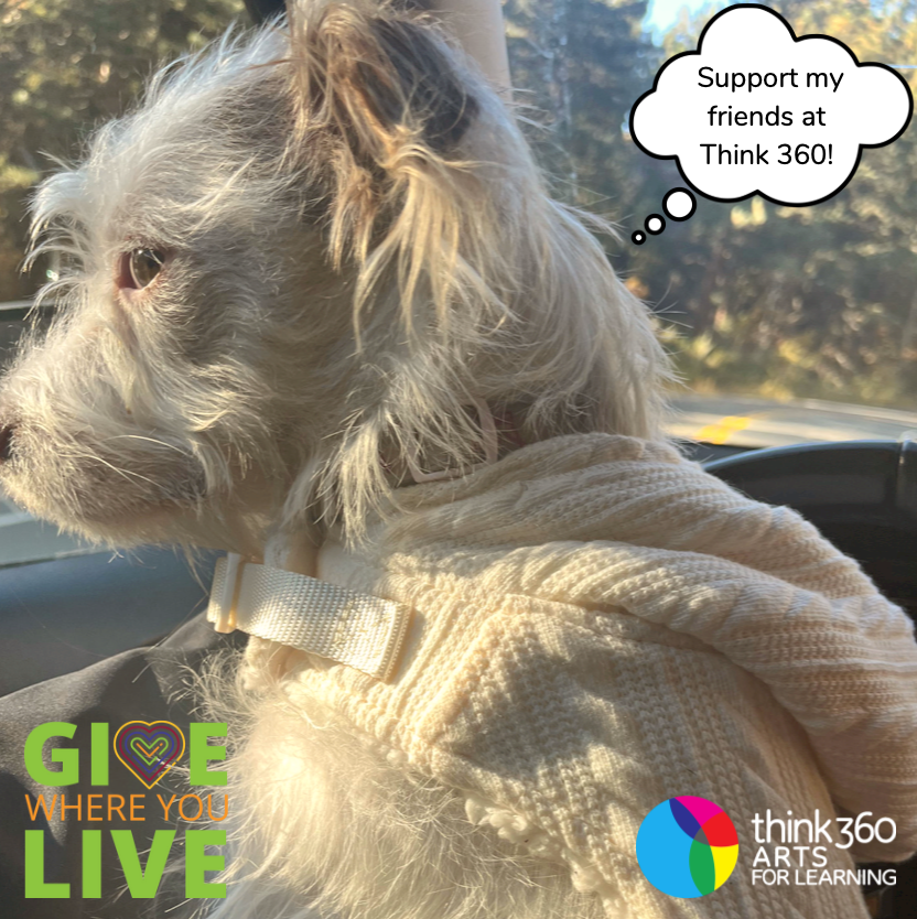 Think 360 Arts tweet media