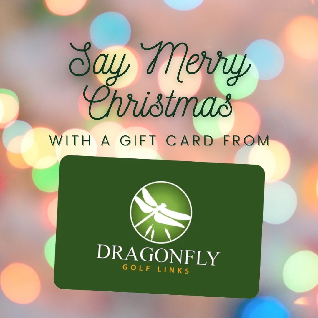 Looking for the perfect gift for the golfer in your life?

Visit our website to give the gift of happiness today! 
dragonflygolf.com

#giftideas #giftforgolfer #golfgifts