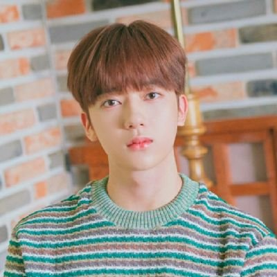 Binnie533's tweet photo. #ProtectYechan
#YechanAppreciationDay https://t.co/gyPONPPJ0F