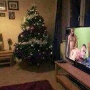 DEADENDEE's tweet photo. POV: your 50+ year old michael-scott-esque coworker gives you an extensive backstory on how he spent the weekend putting up his christmas tree, dramatically searches through his phone to “find the picture he took”, then proceeds to show you this https://t.co/ETqikFwkxd