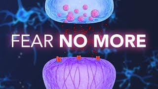 allmemoryissues tweet picture